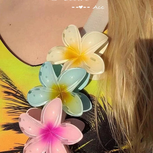 Hair Clips 6 Set Go Viral on Tiktok Snapchat Facebook