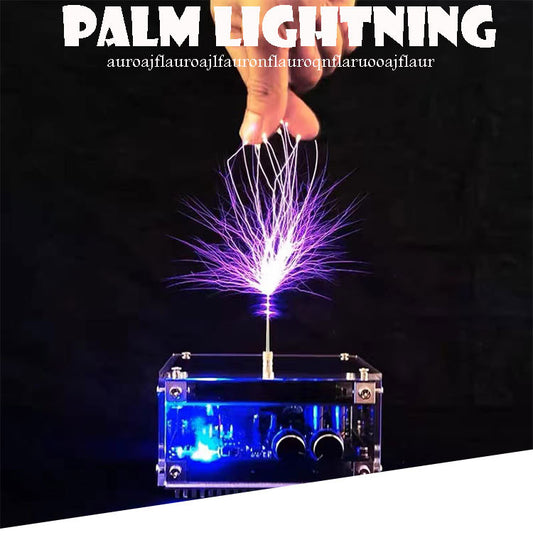 221124EL02 Palm Lightning